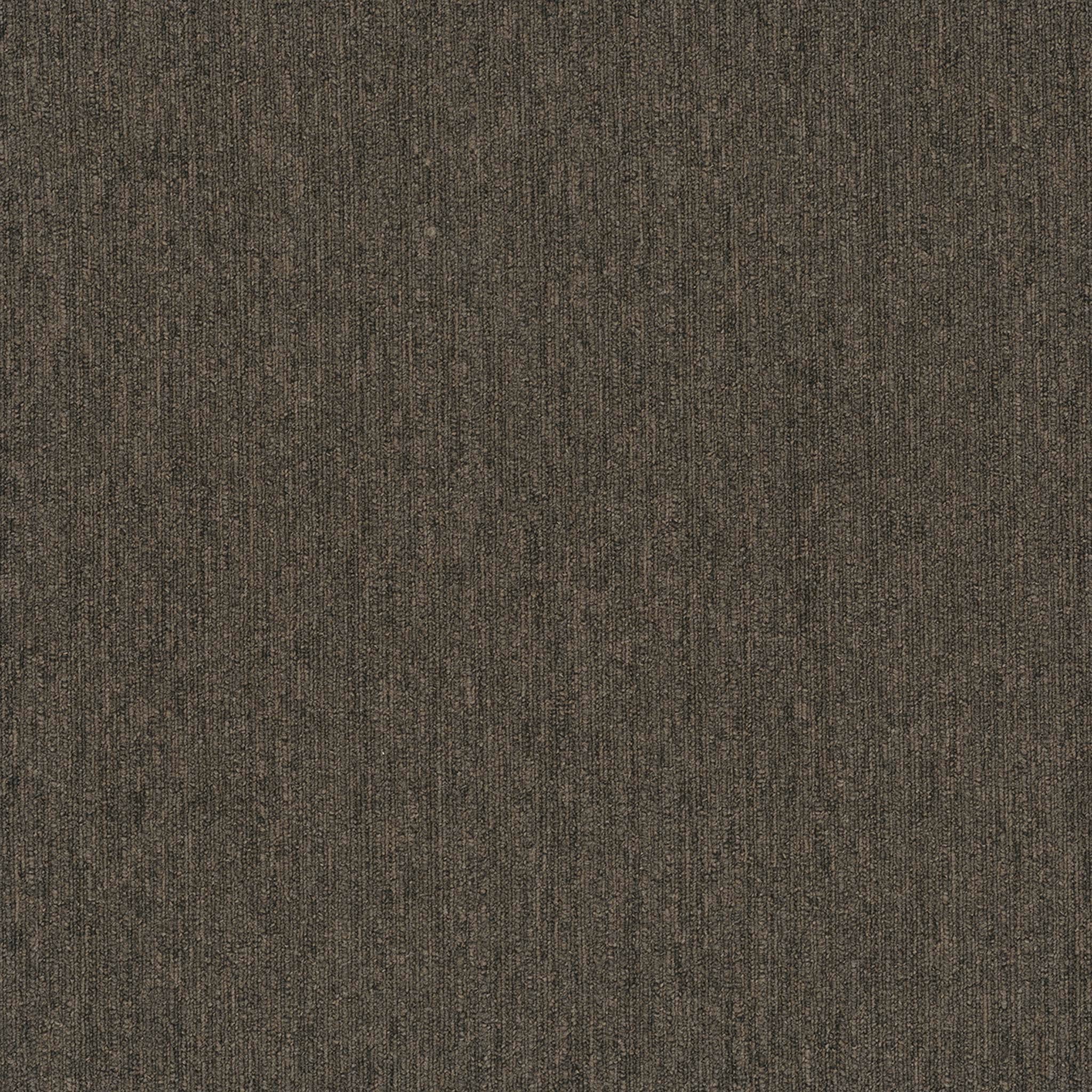 Pentz Carpet Colorpoint Plank 7094P-3206 Hazlenut 12" X 48"