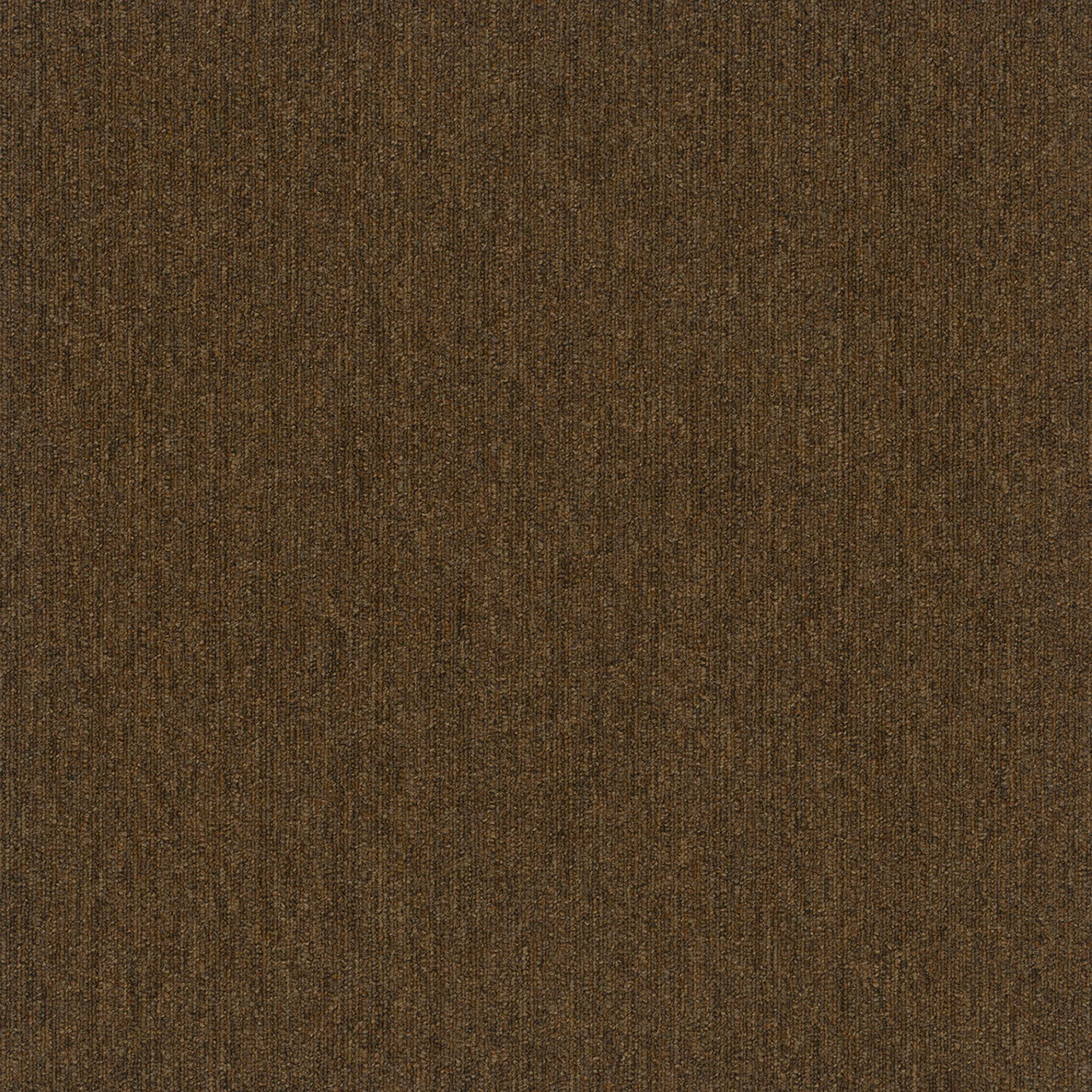 Pentz Carpet Colorpoint Plank 7094P-3212 Hickory 12" X 48"