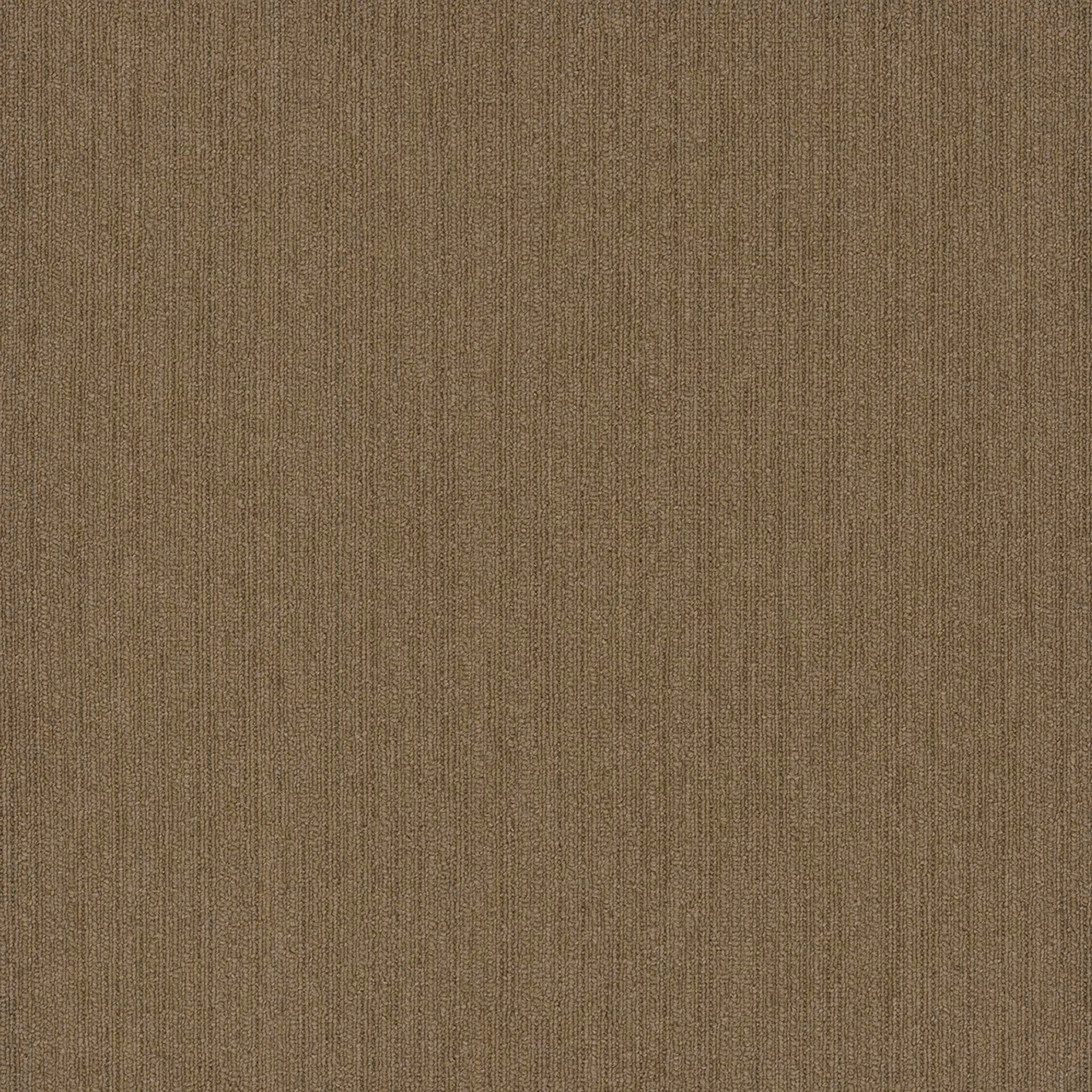 Pentz Carpet Colorpoint Plank 7094P-3213 Peanut 12" X 48"