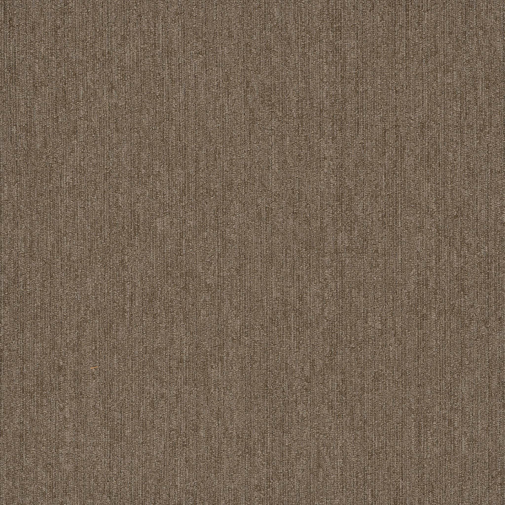 Pentz Carpet Colorpoint Plank 7094P-3214 Granola 12" X 48"