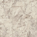 Armstrong Alterna D7154 Morning Dove Luxury Vinyl Tile (Partial Piece - Sample)