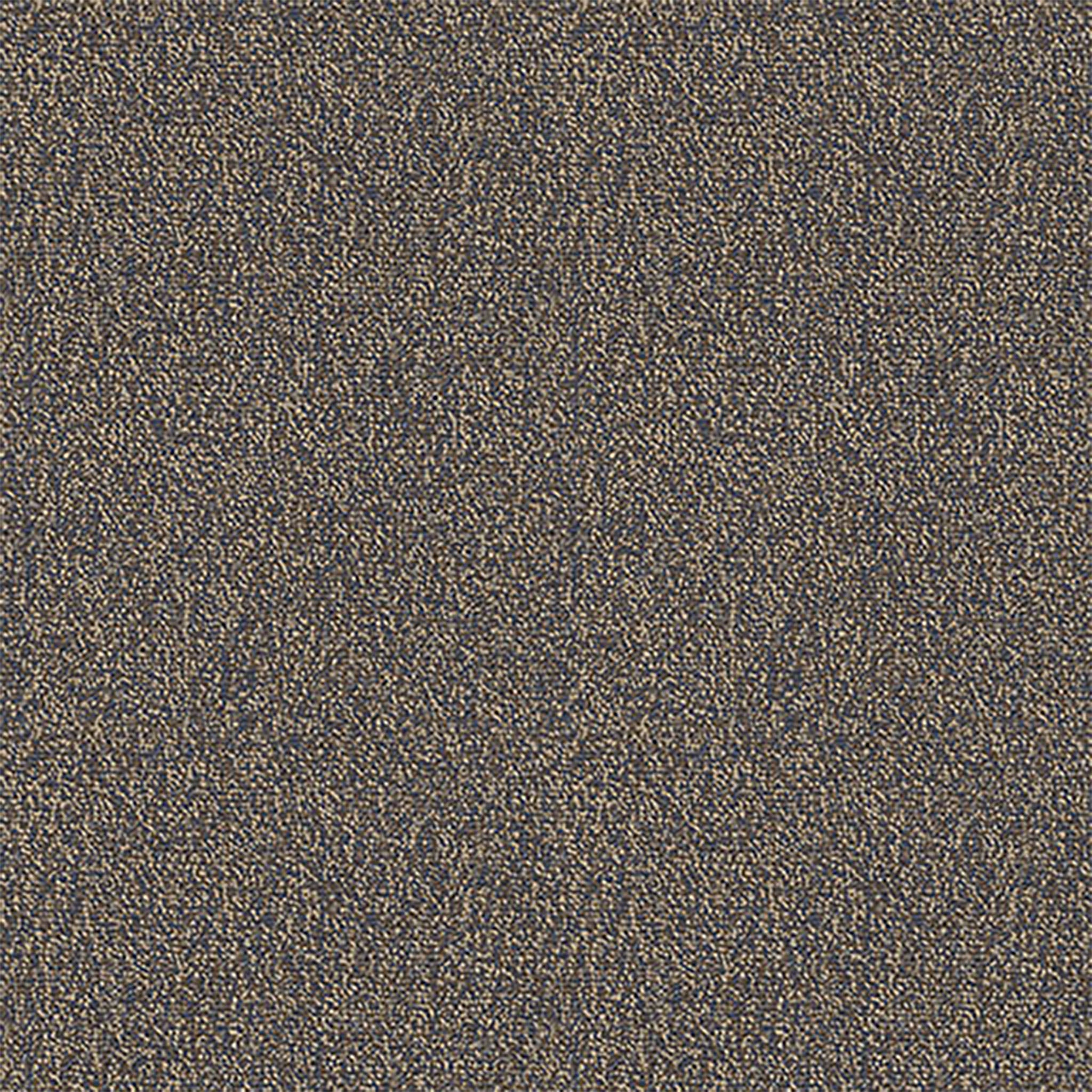 Pentz Carpet Chivalry 7233T-2646 Thoughtful 24" X 24"