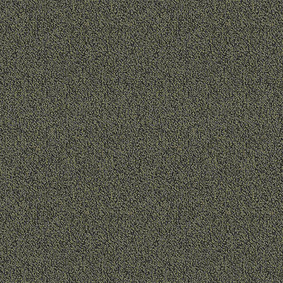 Pentz Carpet Chivalry 7233T-2655 Generous 24" x 24" (72 SF/Box)