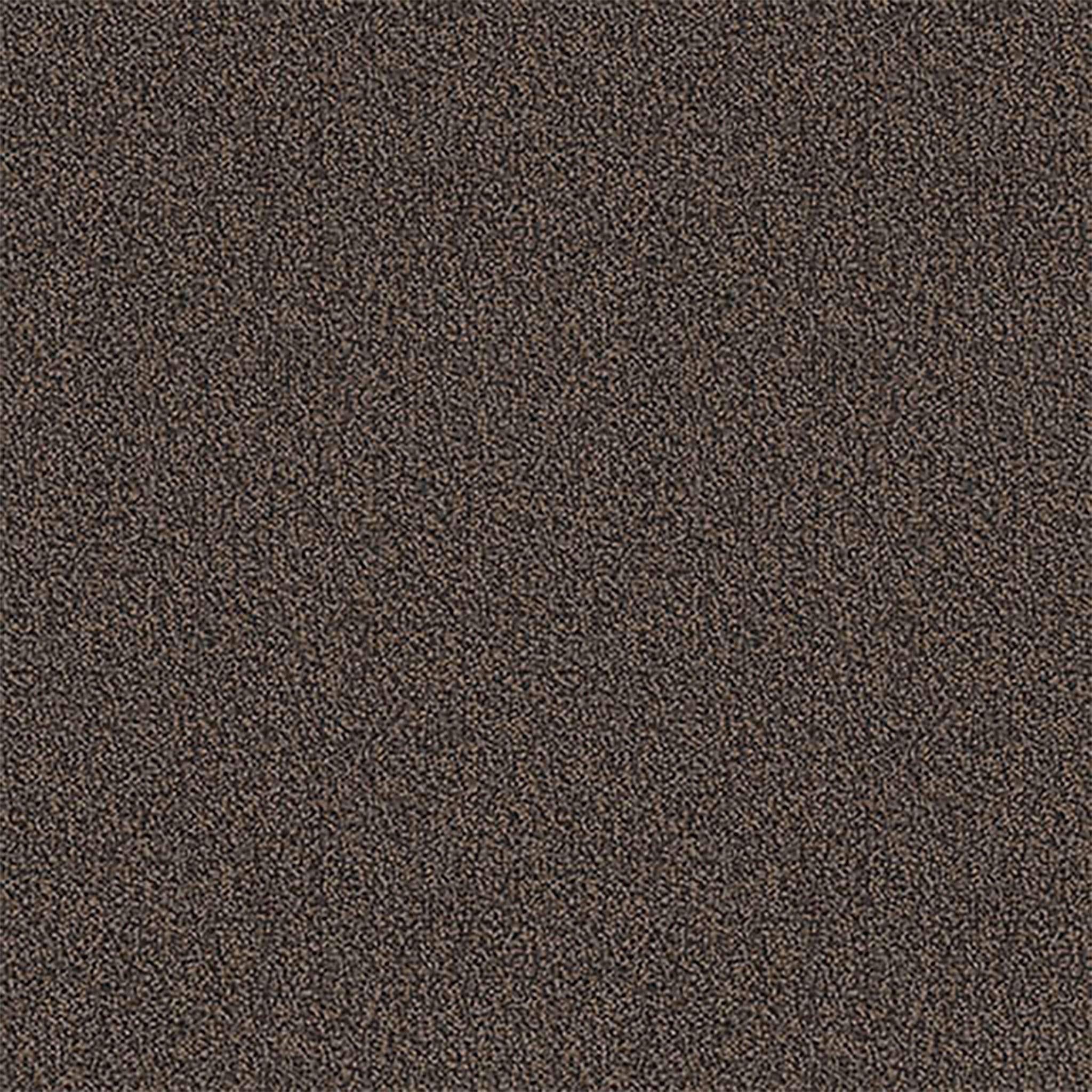 Pentz Carpet Chivalry 7233T-2656 Humanity 24" X 24"