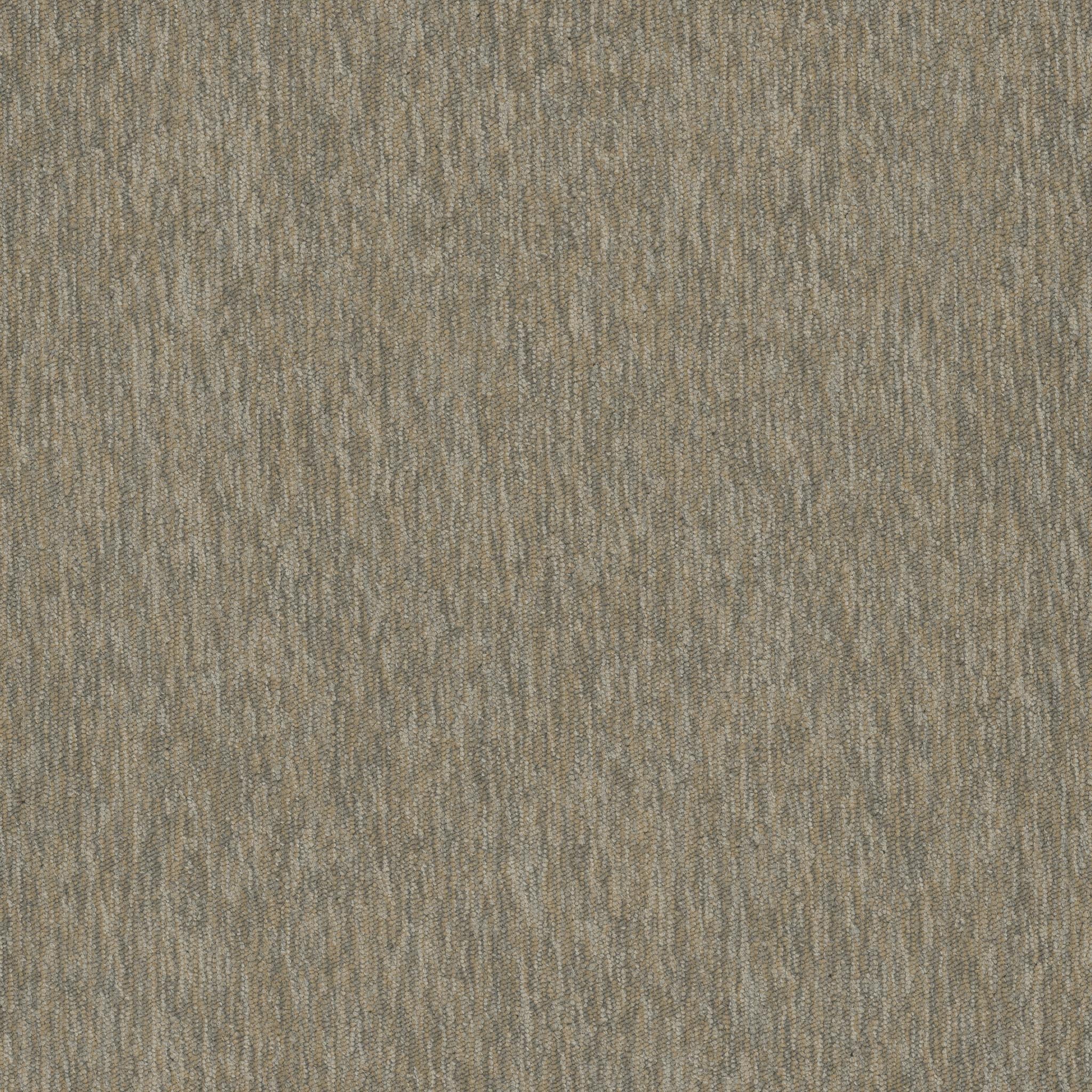 Pentz Carpet Streaming 7237T-2938 Html 24" X 24"