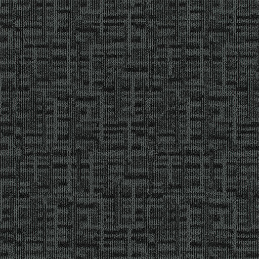 Pentz Carpet Hyperlink 7551T-3538 Hosting