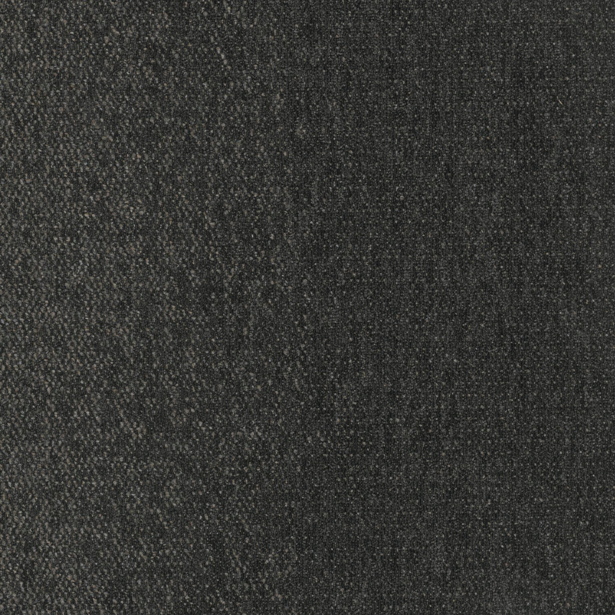 Pentz Carpet Hypnotic 7910T-3463 Mesmerizing 24" X 24"