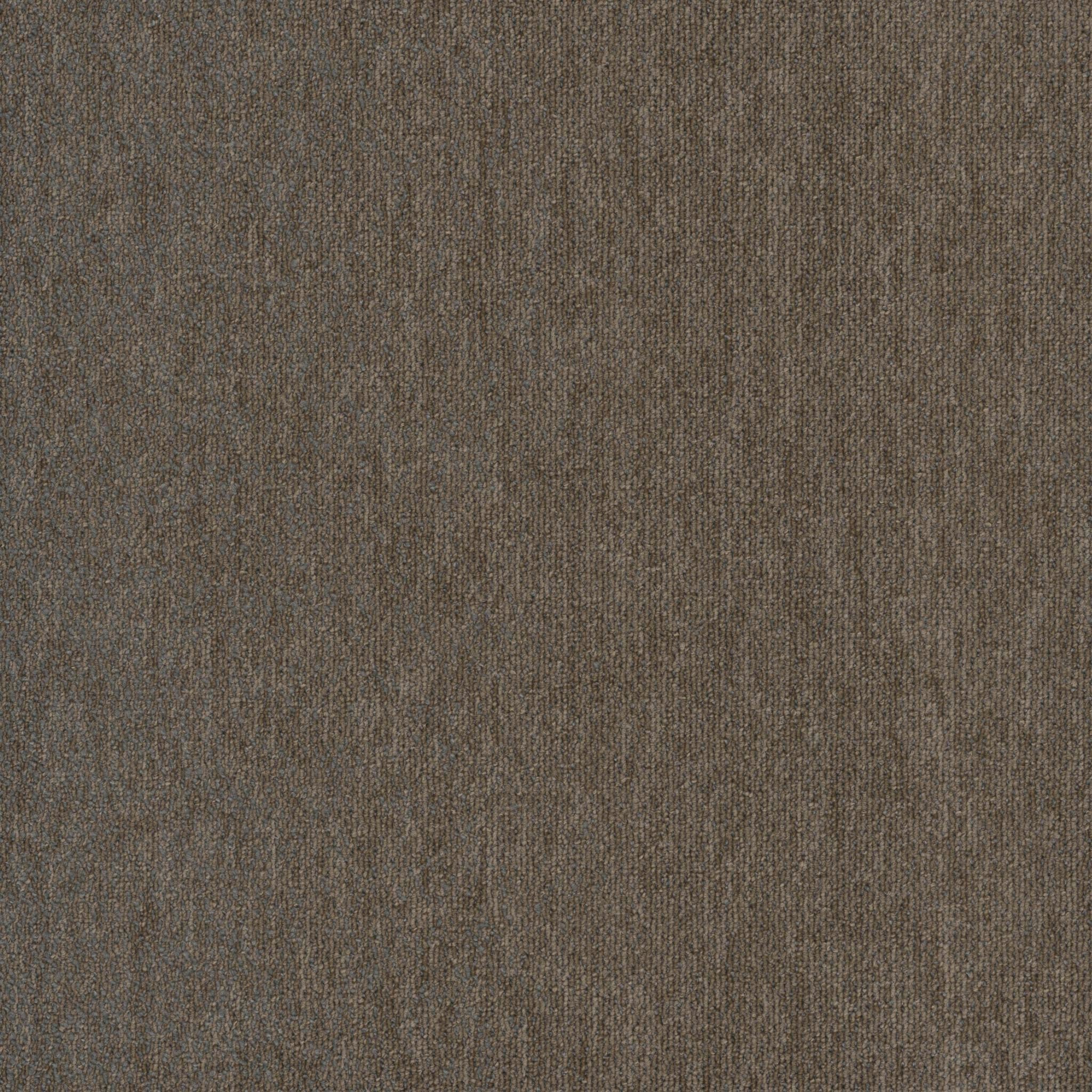 Pentz Carpet Hypnotic 7910T-3466 Numbing 24" x 24" (72 SF/Box)