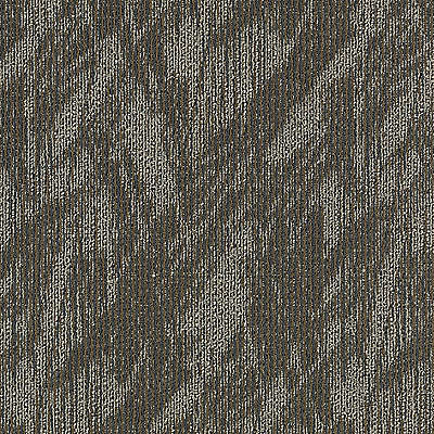 Aladdin Total Visual Carpet Tile 2B59-521 So Intrigued (Sample)