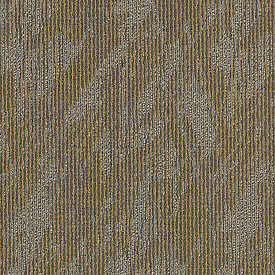 Aladdin Total Visual Carpet Tile 2B59-841 Completely Intuitive (Sample)