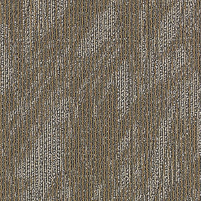 Aladdin Total Visual Carpet Tile 2B59-858 Empower Wow (Sample)