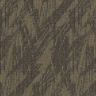 Aladdin Total Visual Carpet Tile 2B59-878 Statement Maker (Sample)