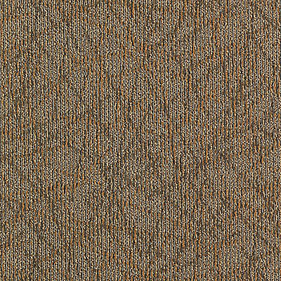 Aladdin Brilliantly Amazed Carpet Tile 2B60-841 Completely Intuitive (Sample)