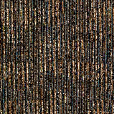 Aladdin Authentic Format Carpet Tile 2B79-878 Rethinking Form (Partial Piece - Sample)