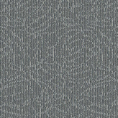 Aladdin Meandering Trail Carpet Tile 2B219-935 Tundra (Partial Piece - Sample)