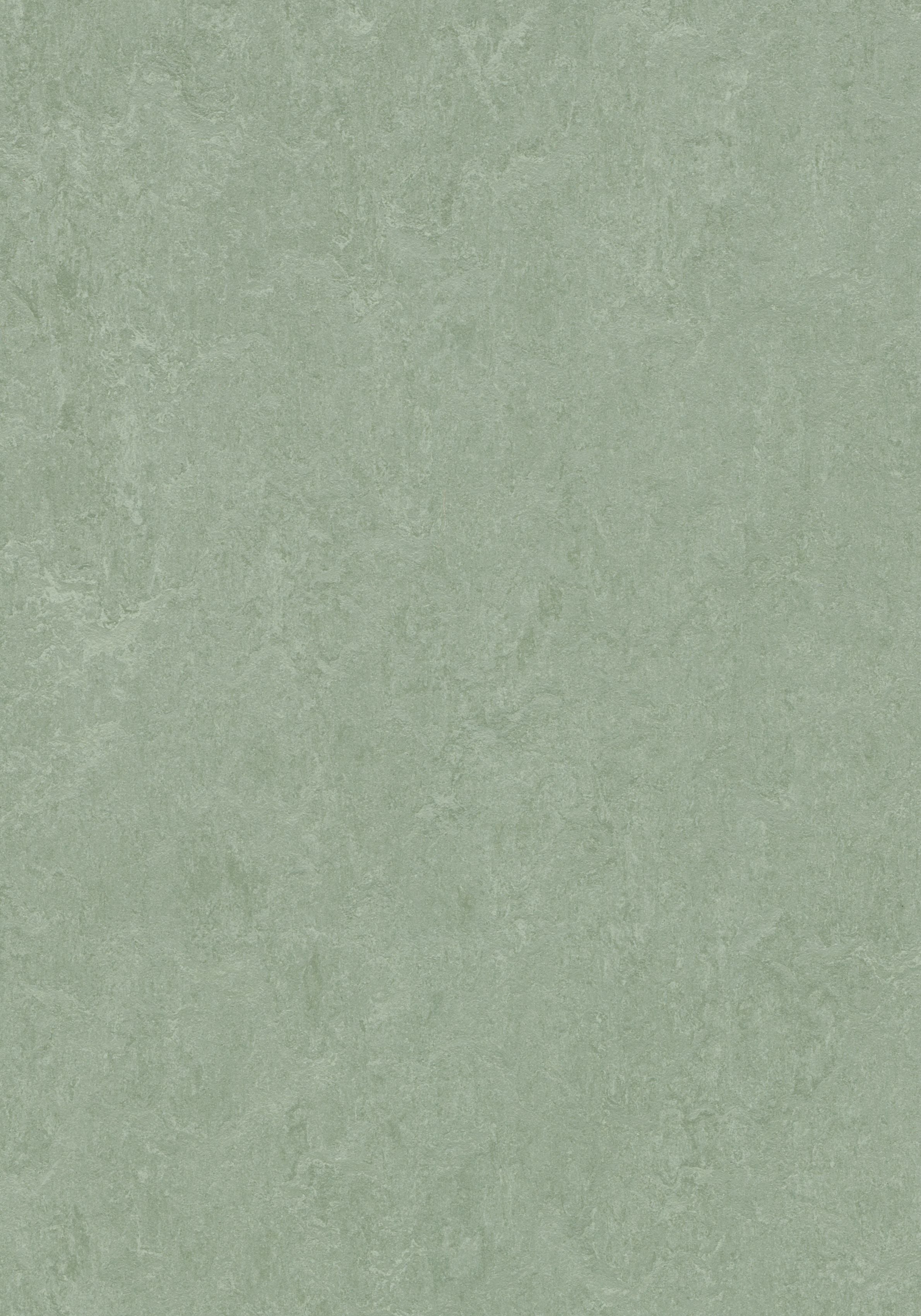 Forbo Marmoleum Click Cinch LOC Seal Waterproof Seal 933891 Sage 12" x 36" Linoleum Tile Flooring