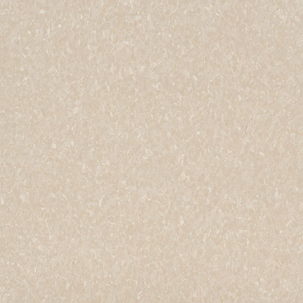 Armstrong Premium Excelon Crown Texture 5C811 Antique White VCT Tile (Partial Piece - Sample)