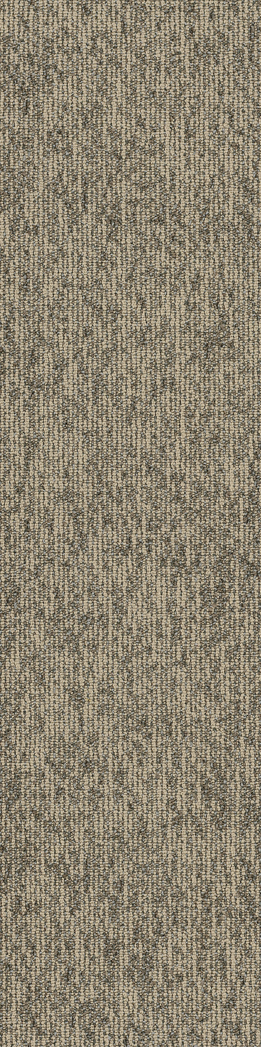 Philadelphia Commercial Basin 54847-00200 Butte 9" x 36" Carpet Tile