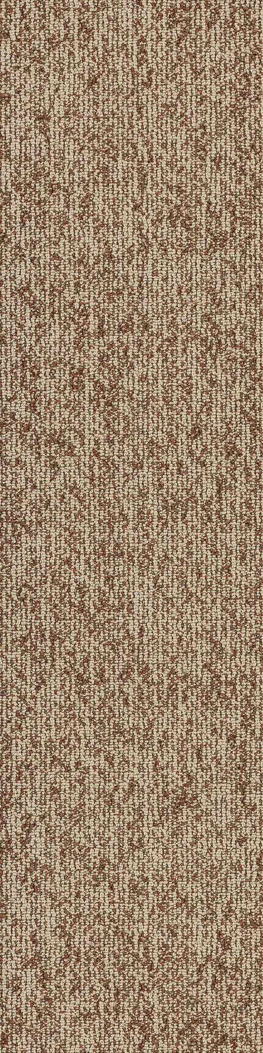 Philadelphia Commercial Basin 54847-00801 Mesa 9" x 36" Carpet Tile