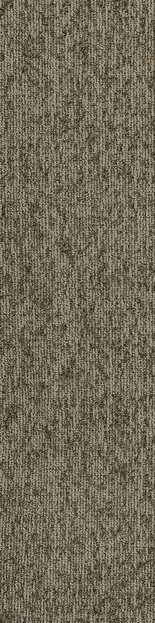 Philadelphia Commercial Basin 54847-00710 Salt Flat 9" x 36" Carpet Tile