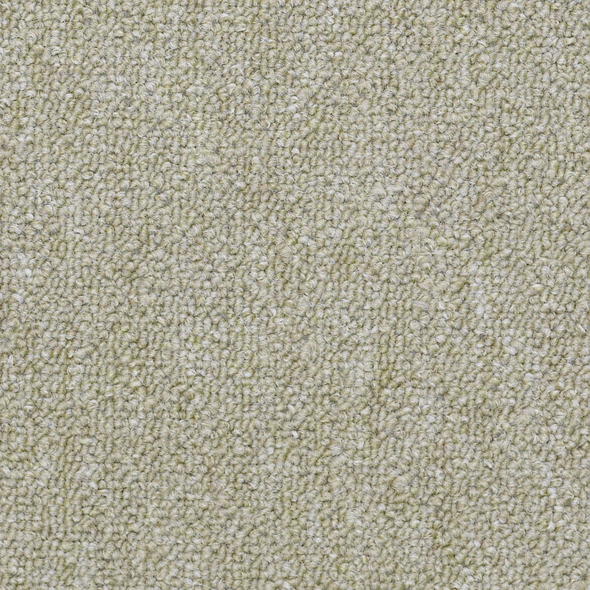 Philadelphia Commercial Capital III Tile 54480-80302 Influential 24" x 24" Carpet Tile