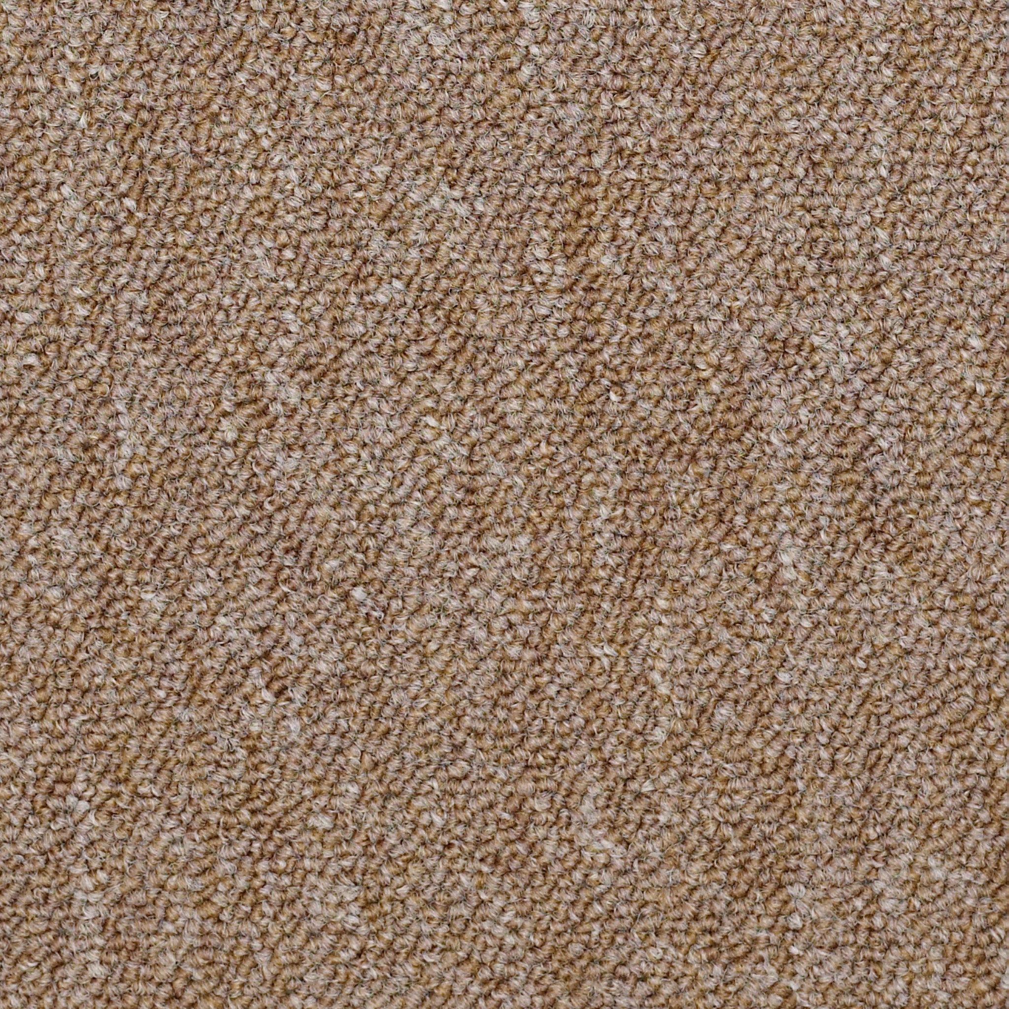 Philadelphia Commercial Capital III Tile 54480-80201 Majority 24" x 24" Carpet Tile