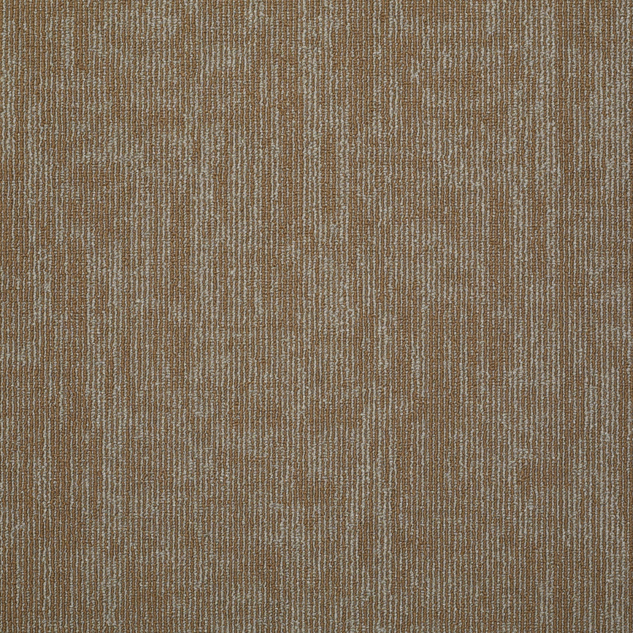 Philadelphia Commercial Carbon Copy 54806-06600 Duplicate 24" x 24" Carpet Tile