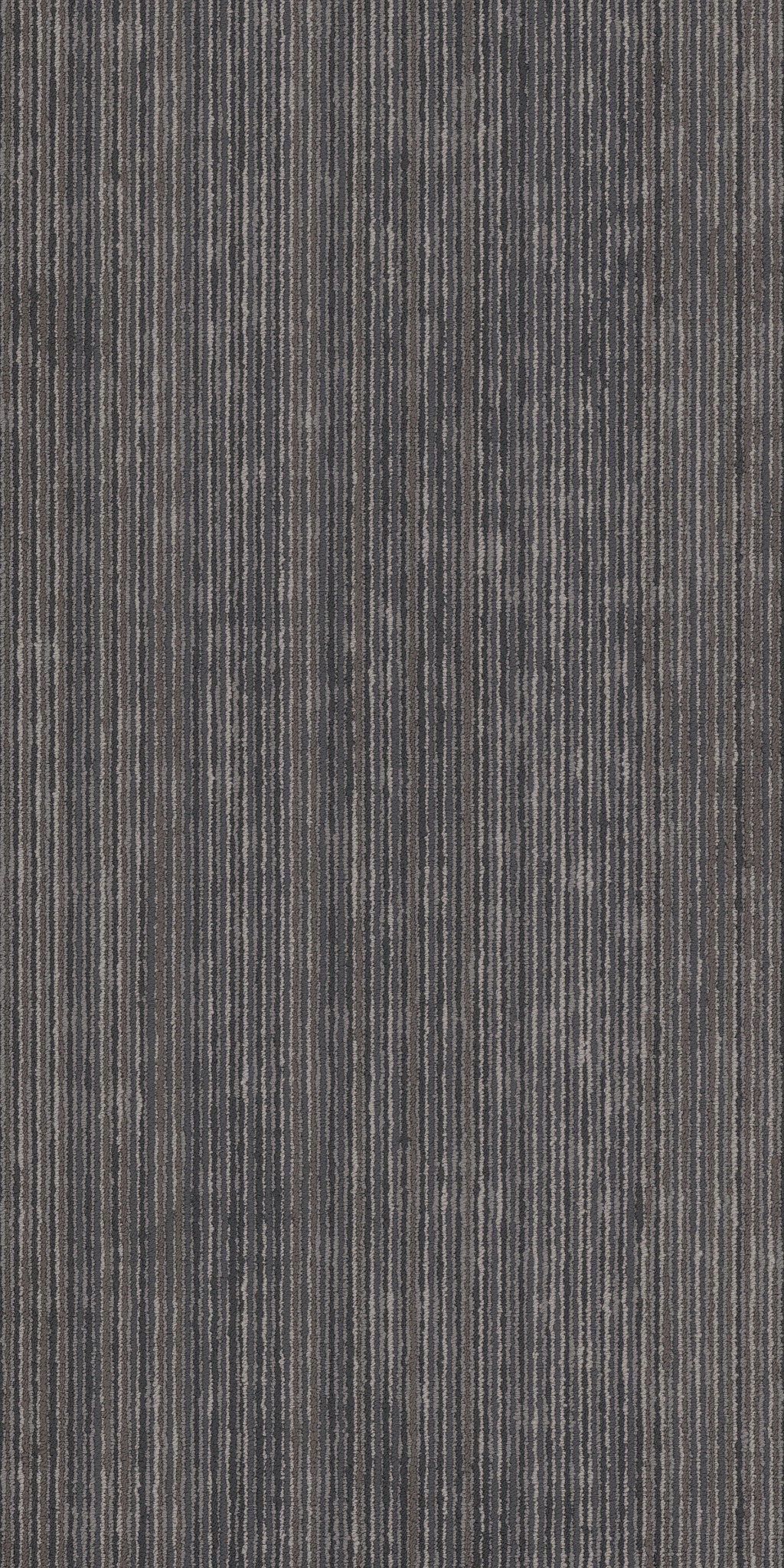 Philadelphia Commercial Cipher 54925-00505 Virtual 18" x 36" Carpet Tile