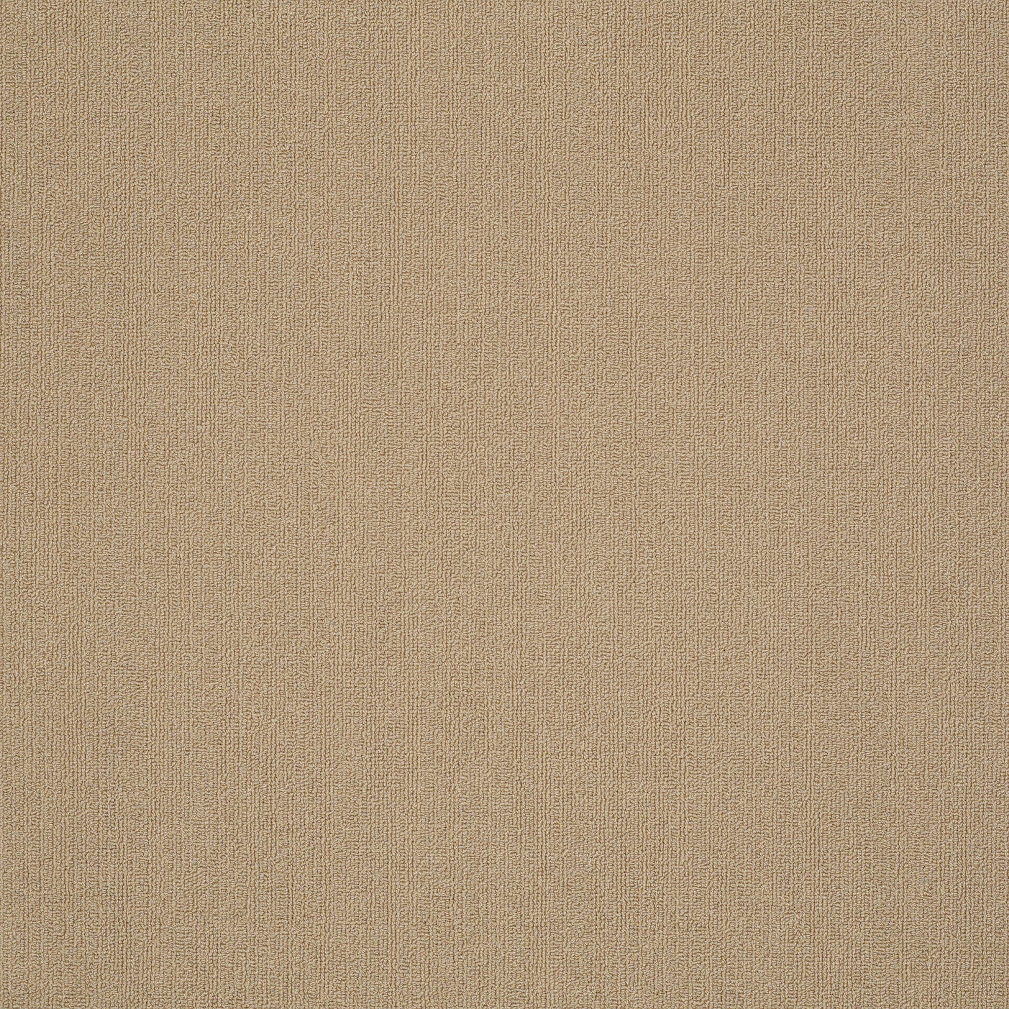 Philadelphia Color Accents 54462-62171 Autumn Gold 24" x 24" Carpet Tile (48 SF/Box)