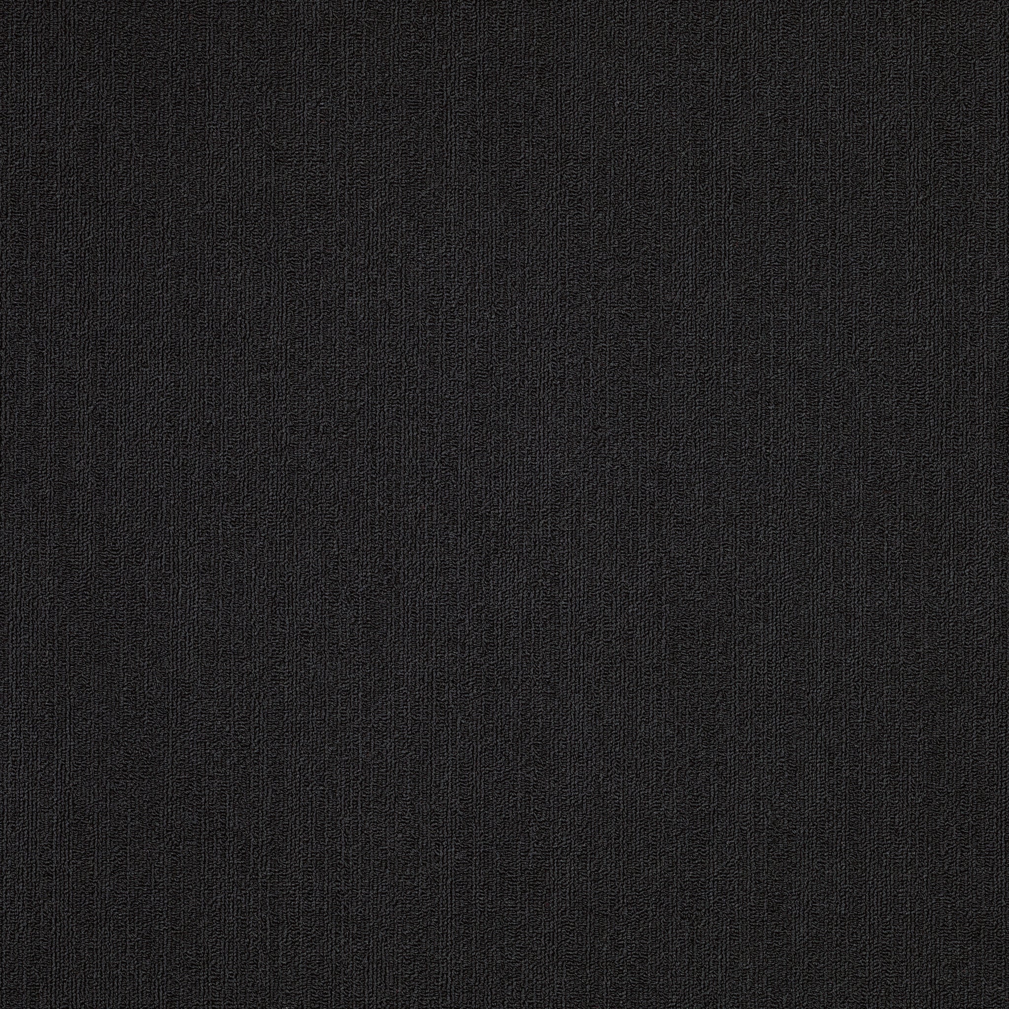 Philadelphia Commercial Color Accents 54462-62505 Black 24" x 24" Carpet Tile