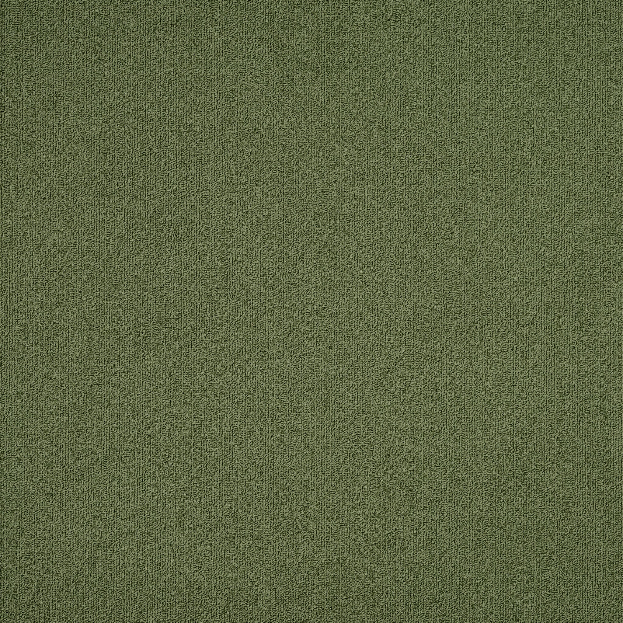 Philadelphia Color Accents 54462-62370 Cactus 24" x 24" Carpet Tile (48 SF/Box)