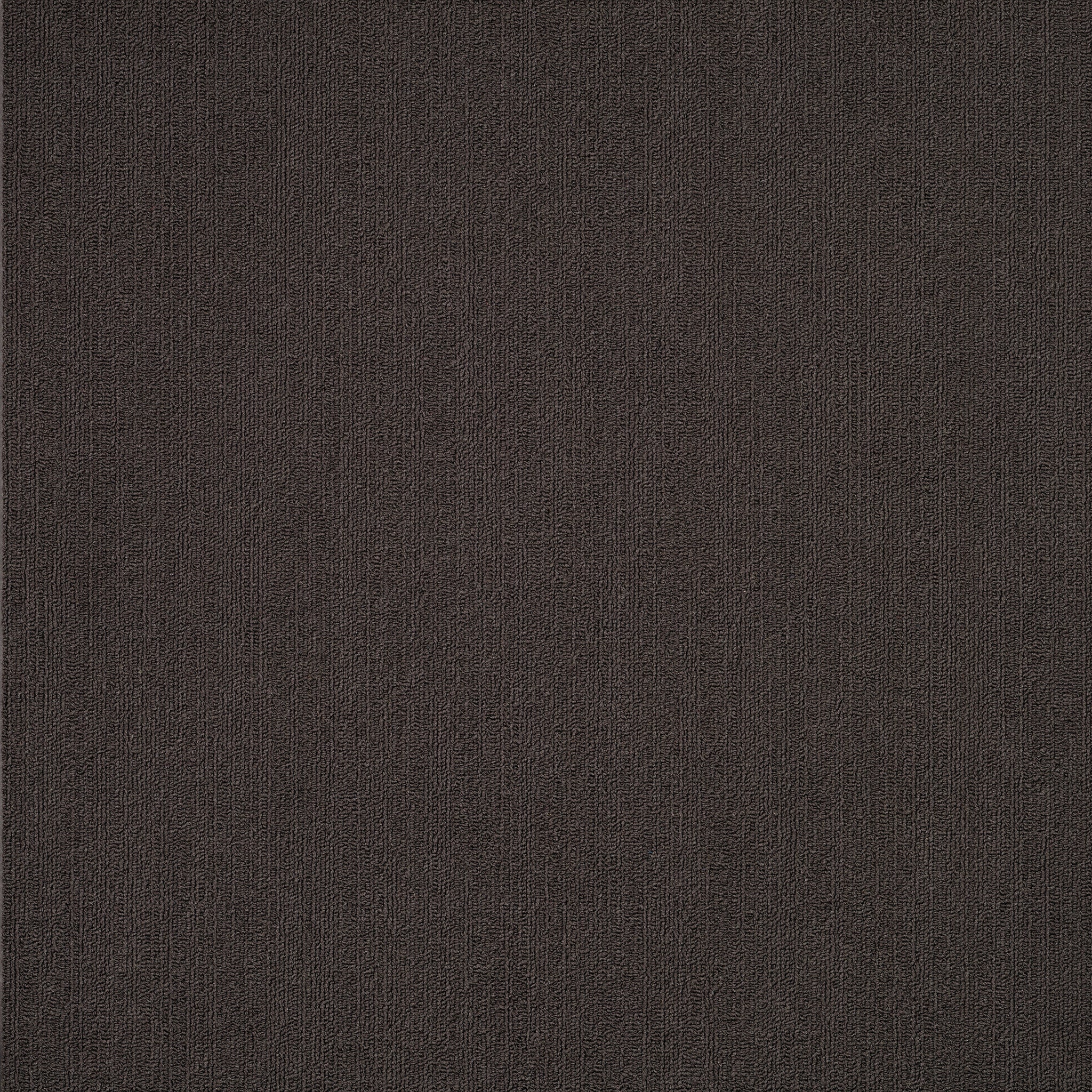 Philadelphia Commercial Color Accents 54462-62500 Ebony 24" x 24" Carpet Tile