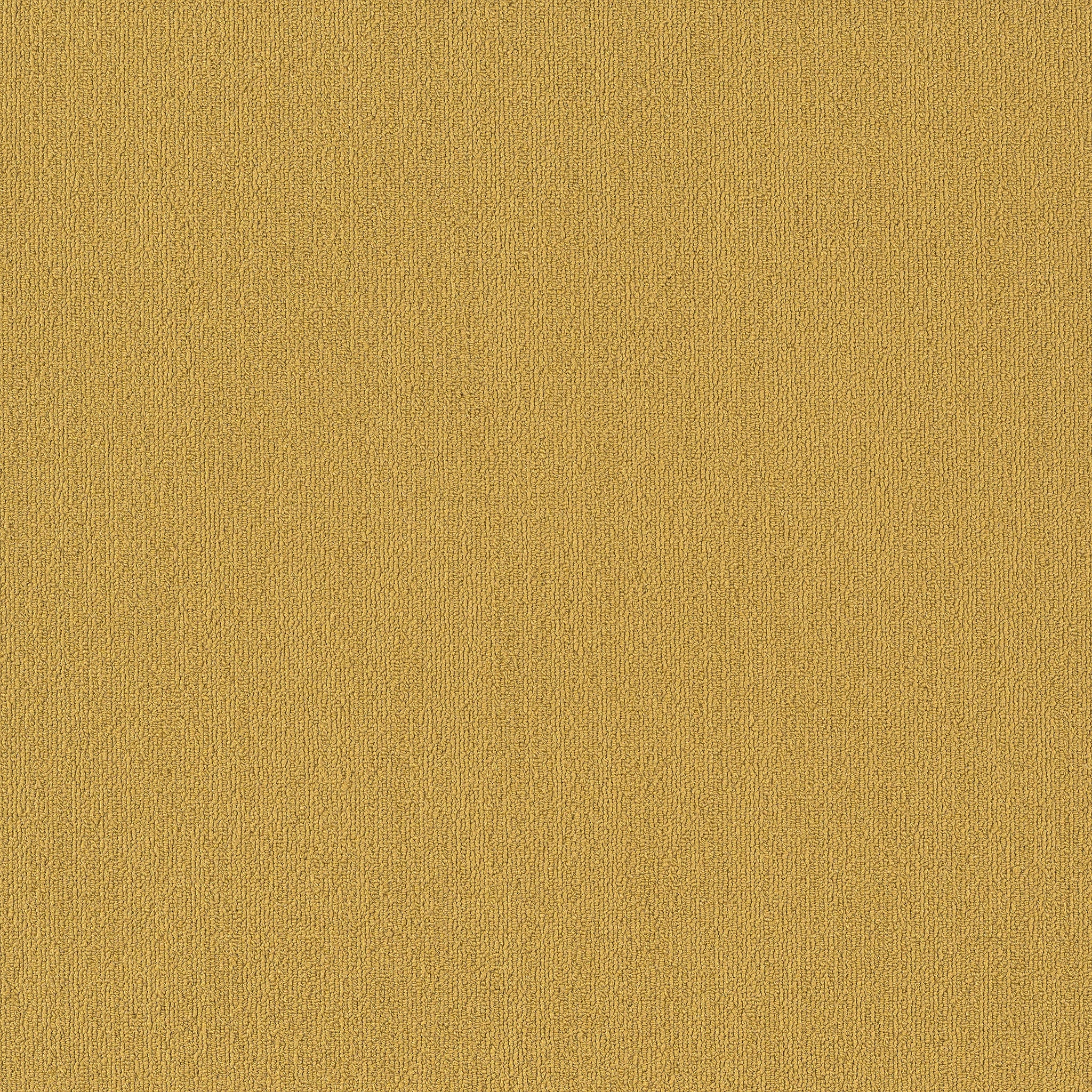 Philadelphia Commercial Color Accents 54462-62210 Ochre 24" x 24" Carpet Tile