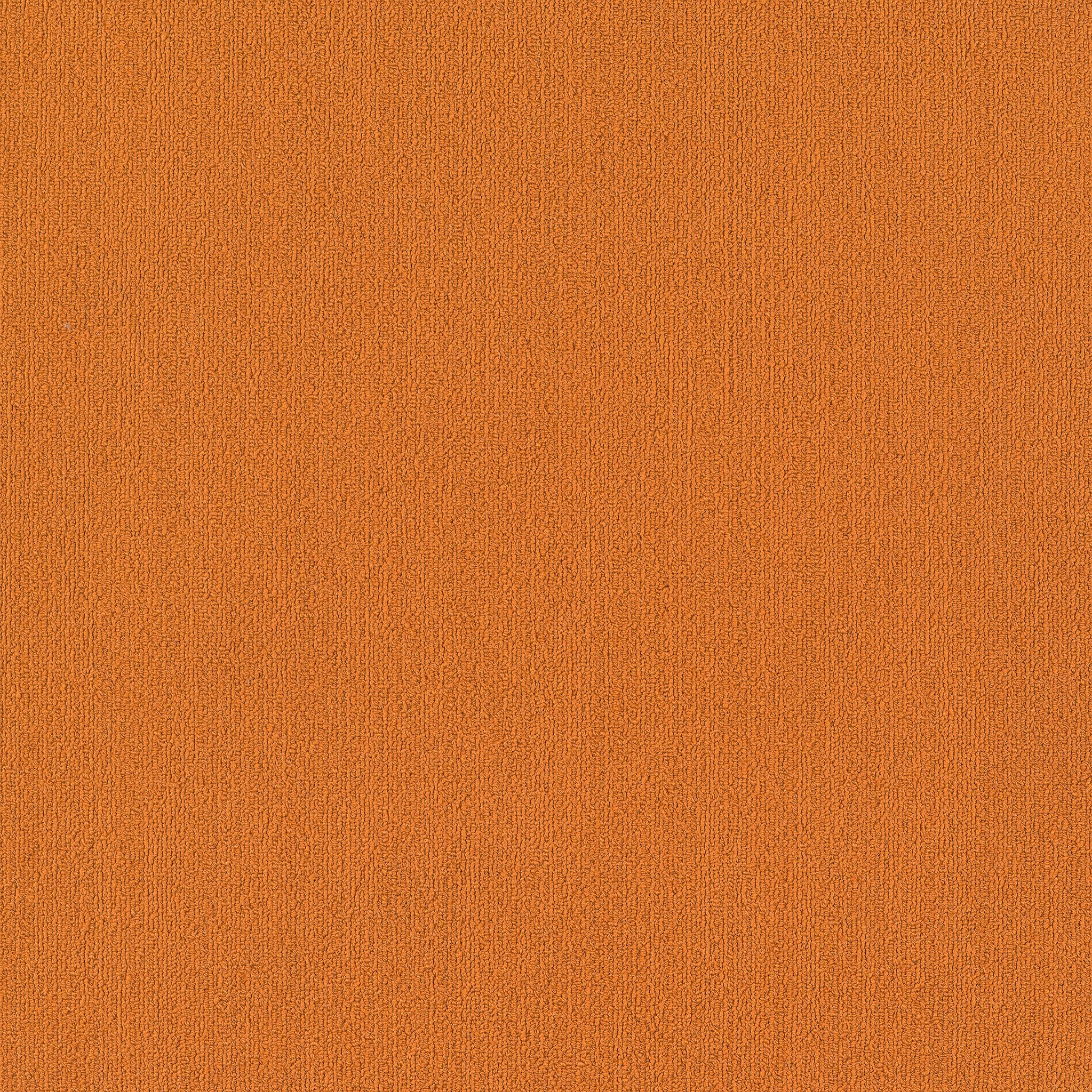 Philadelphia Commercial Color Accents 54462-62675 Orange 24" x 24" Carpet Tile