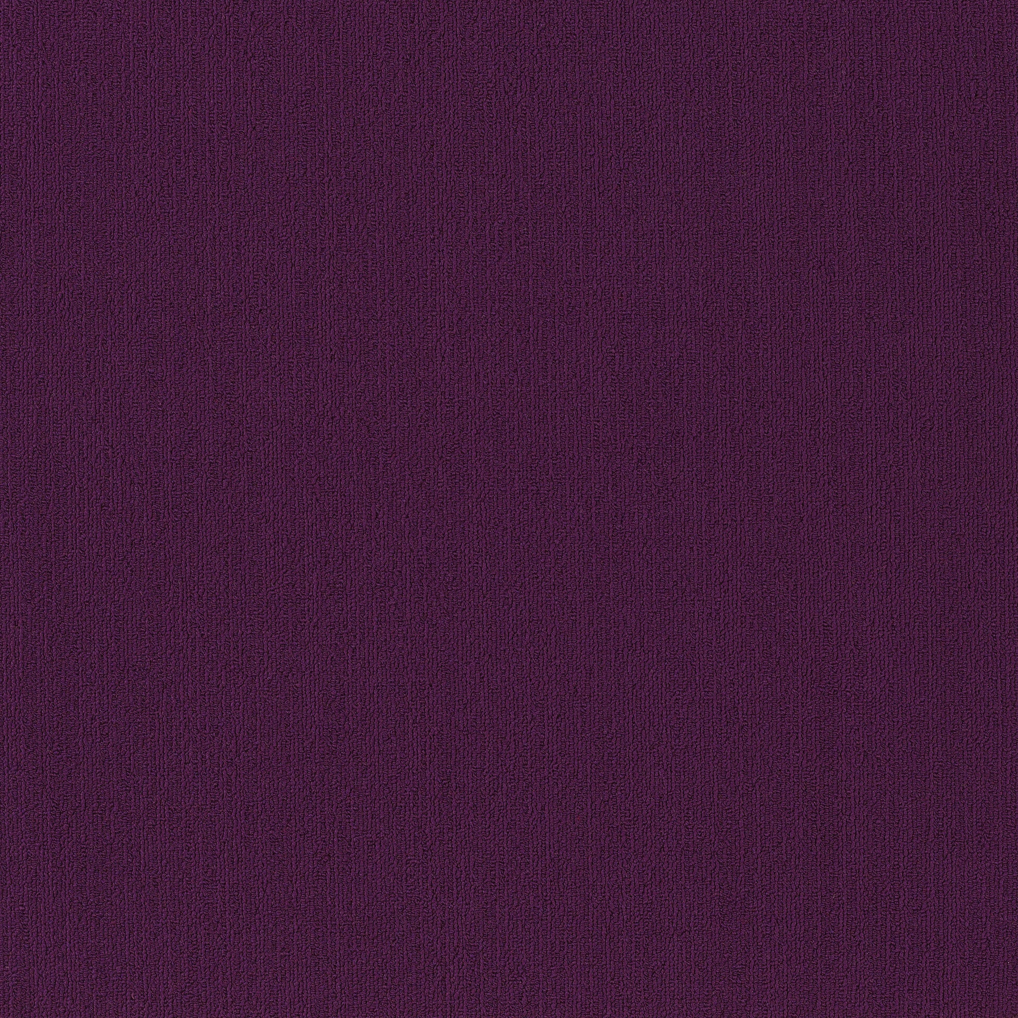 Philadelphia Commercial Color Accents 54462-62901 Purple 24" x 24" Carpet Tile