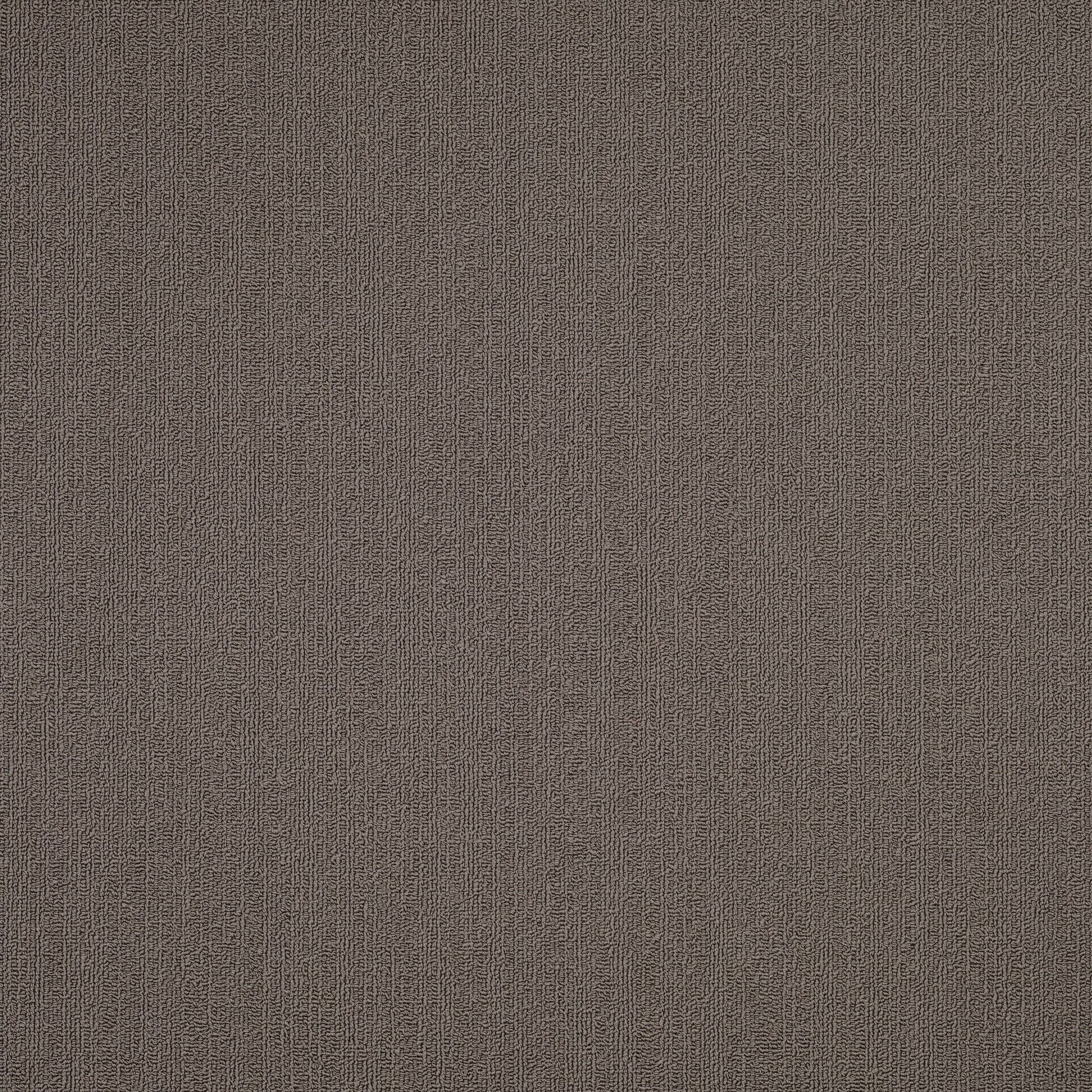 Philadelphia Commercial Color Accents 54462-62760 Taupe 24" x 24" Carpet Tile