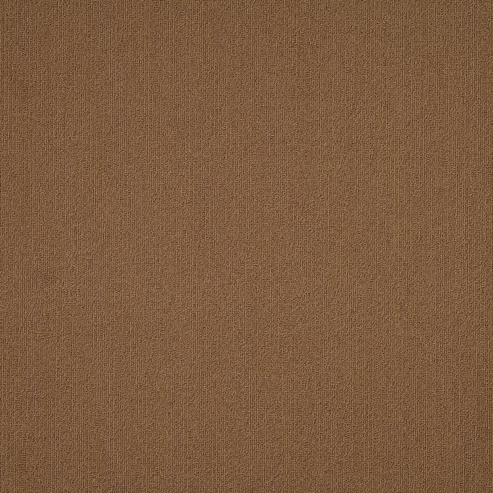 Philadelphia Commercial Color Accents 54462-62150 Tobacco 24" x 24" Carpet Tile