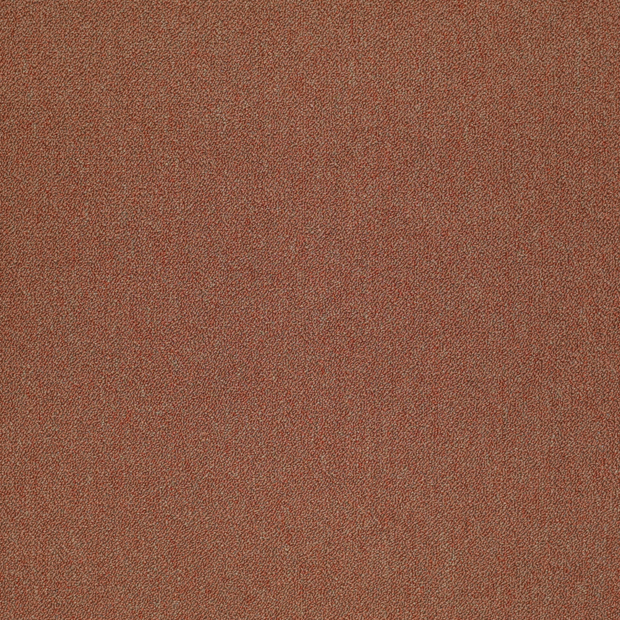 Philadelphia Commercial Counterpart 54816-16800 Accomplice 24" x 24" Carpet Tile