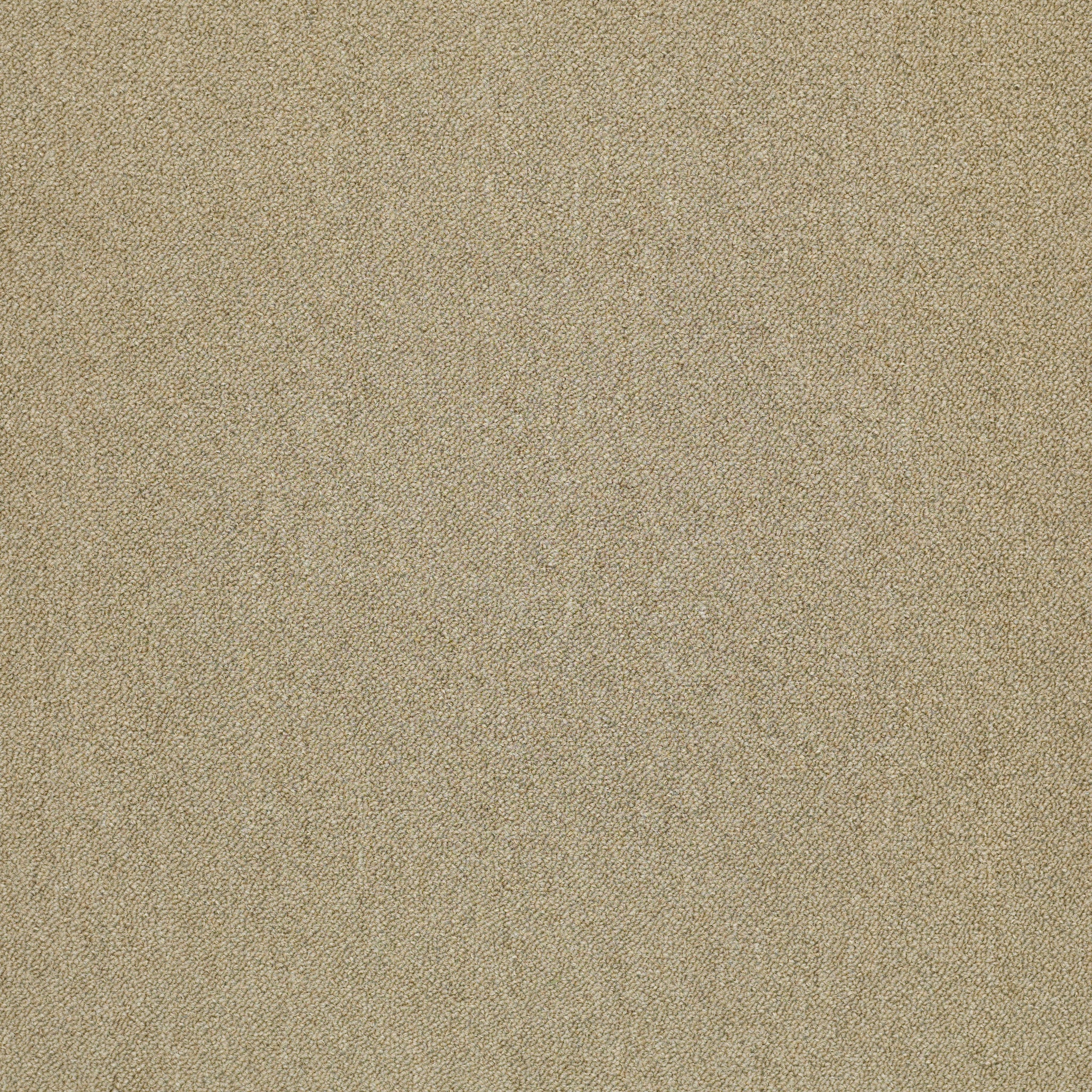 Philadelphia Commercial Counterpart 54816-16200 Copy Cat 24" x 24" Carpet Tile