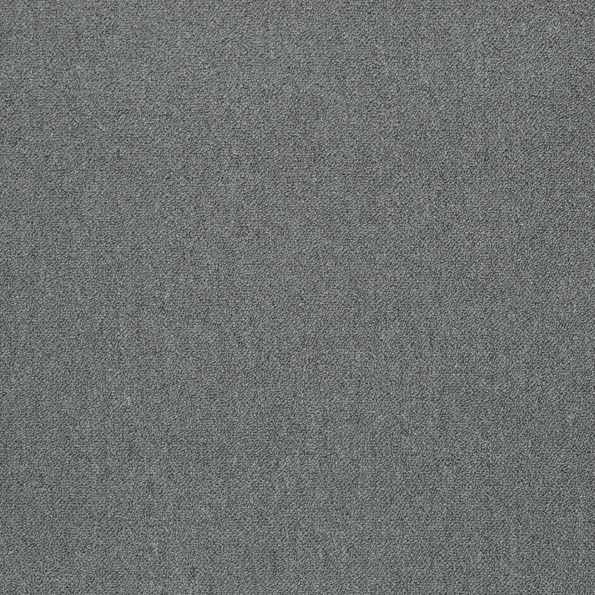 Philadelphia Commercial Counterpart 54816-16507 Identical 24" x 24" Carpet Tile