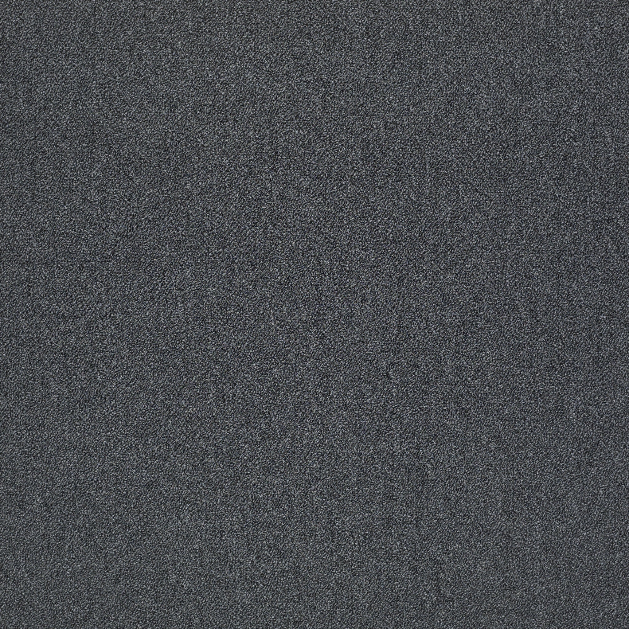 Philadelphia Commercial Counterpart 54816-16509 Shadow 24" x 24" Carpet Tile