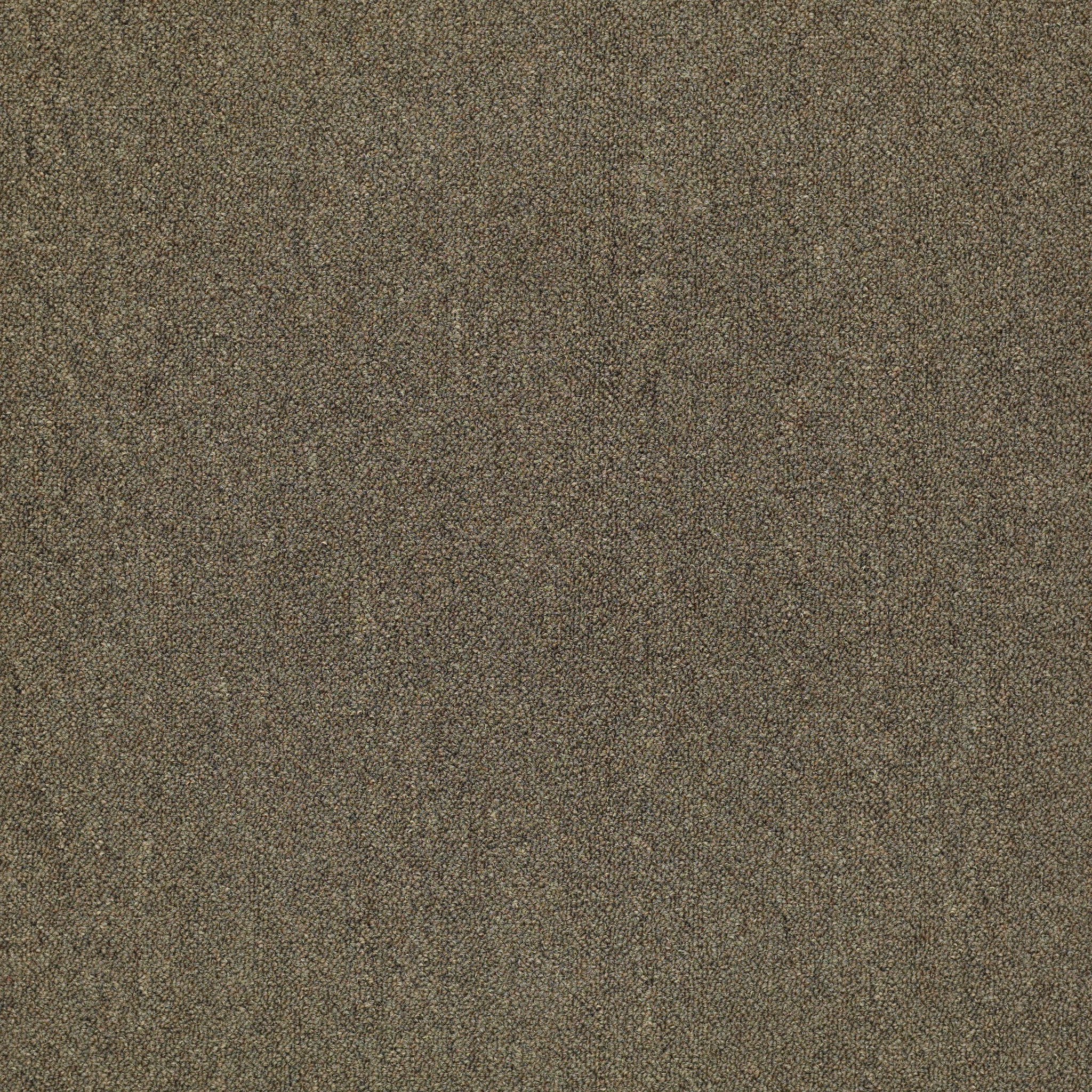 Philadelphia Commercial Counterpart 54816-16705 Spitting Image 24" x 24" Carpet Tile