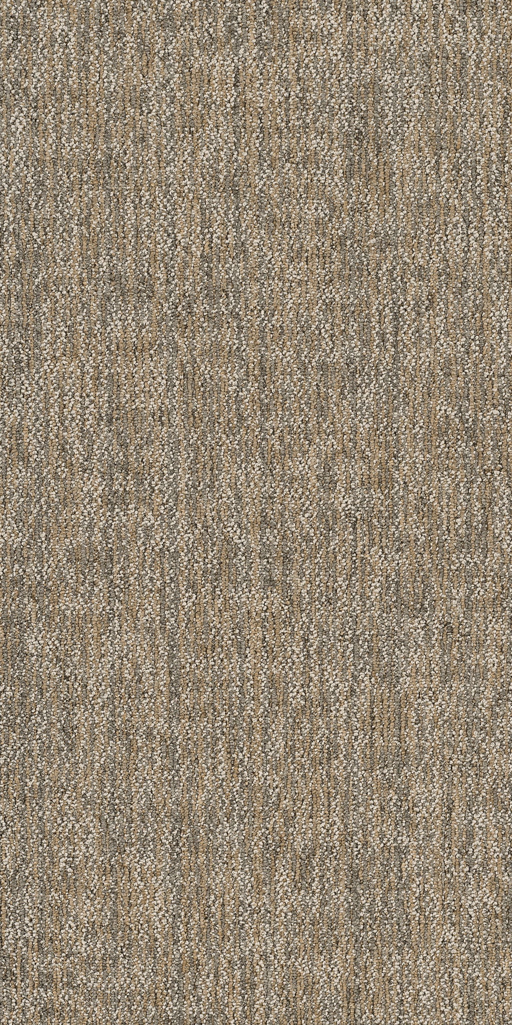 Philadelphia Commercial Crazy Smart 54841-00200 Astute 18" x 36" Carpet Tile