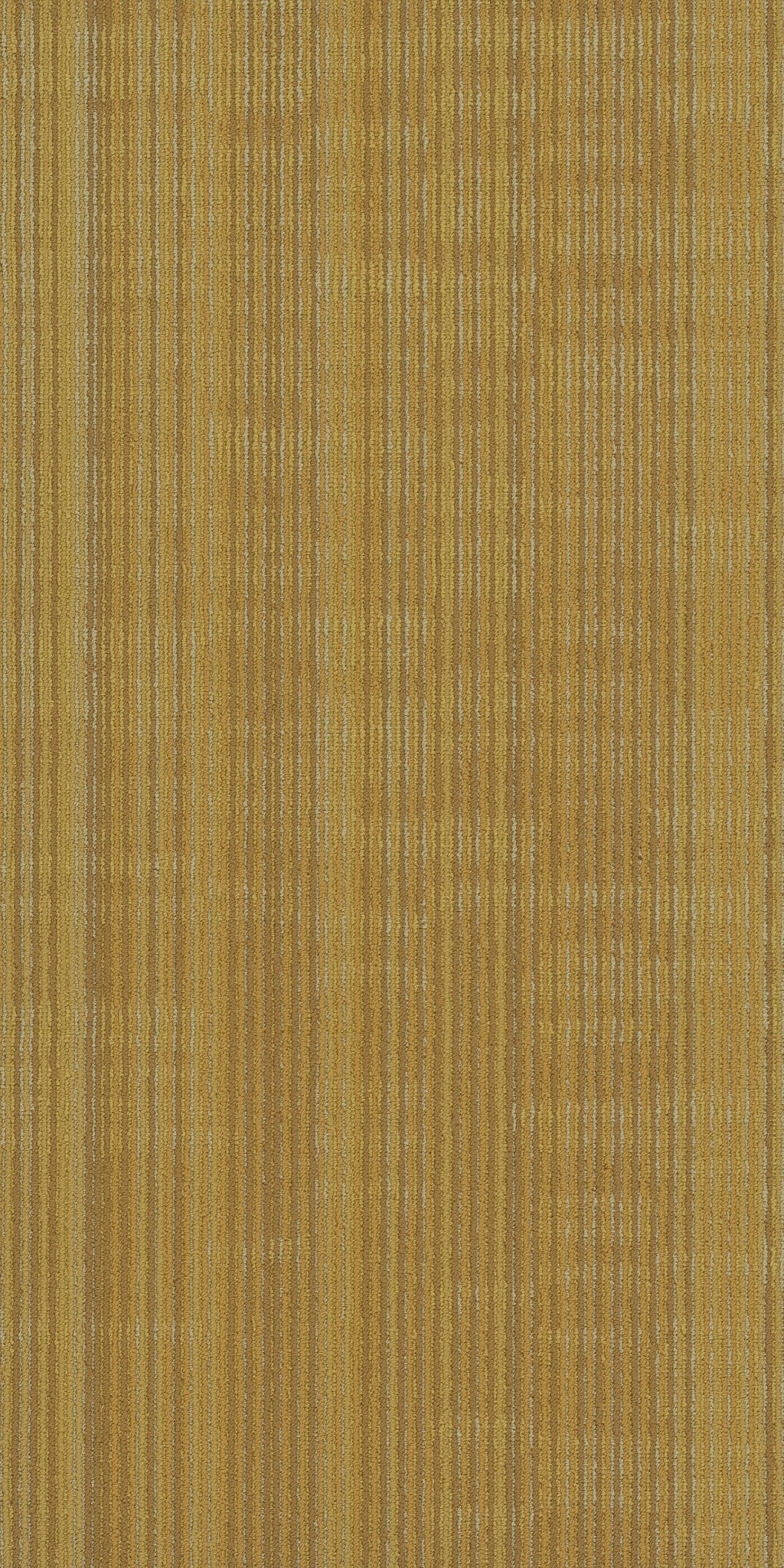 Philadelphia Commercial Encode 54926-00200 Vector 18" x 36" Carpet Tile