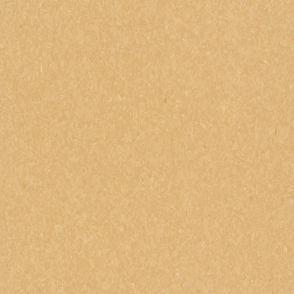 Armstrong Premium Excelon Crown Texture 5C878 Golden 12" x 12" VCT Tile (Sample)