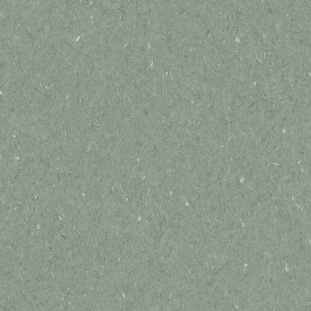 Armstrong Medintone Diamond 10 H2030 Gotu Kola Vinyl Sheet (6'7" Width) (Sample)