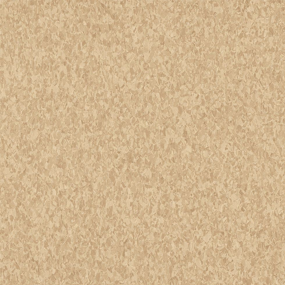 Armstrong Premium Excelon Crown Texture 5C241 Honey 12" x 12" VCT Tile (Sample)