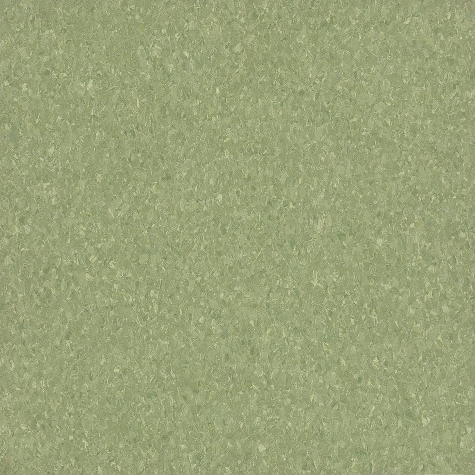 Armstrong Premium Excelon Crown Texture 5C866 Little Green Apple 12" x 12" VCT Tile (Sample)