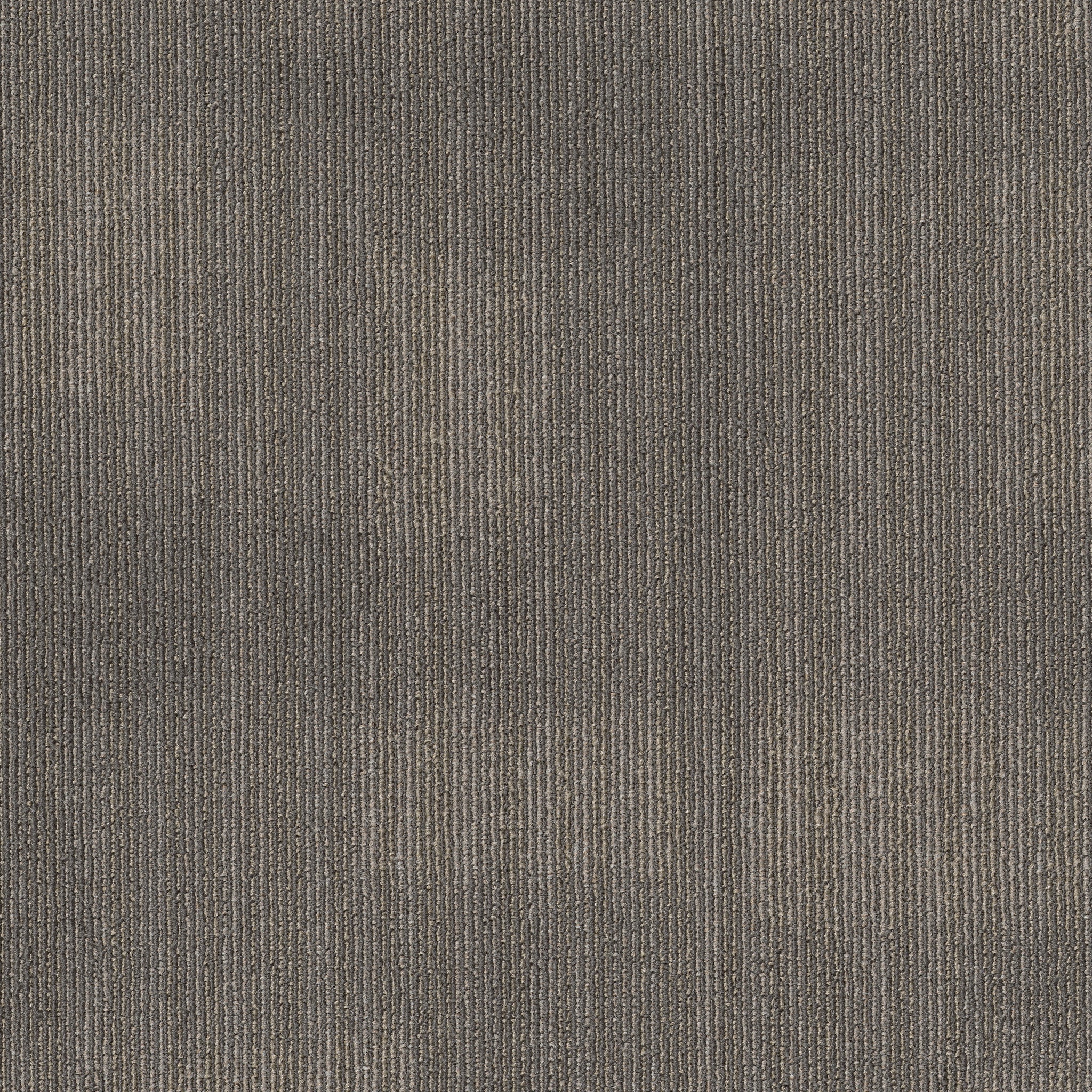 Philadelphia Commercial Mask 54977-00100 Patched 24" x 24" Carpet Tile