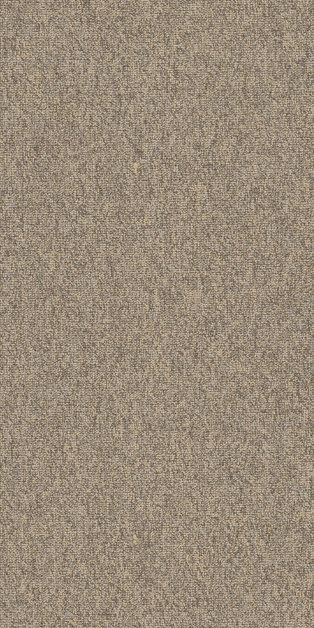 Philadelphia Commercial Multiplicity 18X36 54815-00500 Batch 18" x 36" Carpet Tile